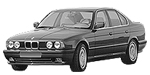 BMW E34 P2600 Fault Code